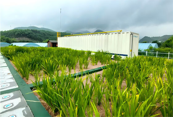 Good price Innovative Water Treatment Equipment for Industrial Wastewater with Shallow Air Flotation Technology and No Hydraulic Dead Spots online